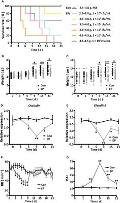 Edwardsiella piscicida infection reshapes the intestinal microbiome and metabolome of big-belly seahorses: mechanistic insights of synergistic actions of virulence factors